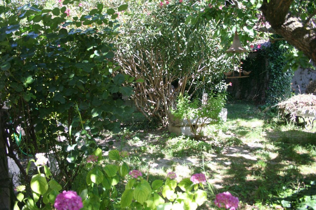 Le Petit Palais Maisonnette Avignon Exterior foto