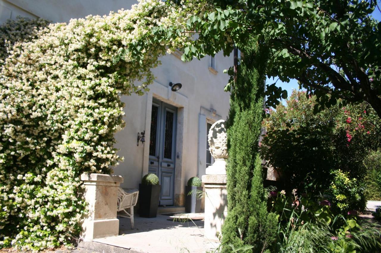 Le Petit Palais Maisonnette Avignon Exterior foto