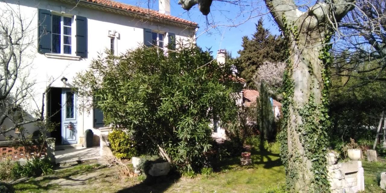Le Petit Palais Maisonnette Avignon Exterior foto