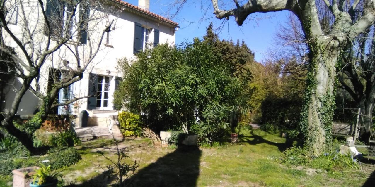 Le Petit Palais Maisonnette Avignon Exterior foto
