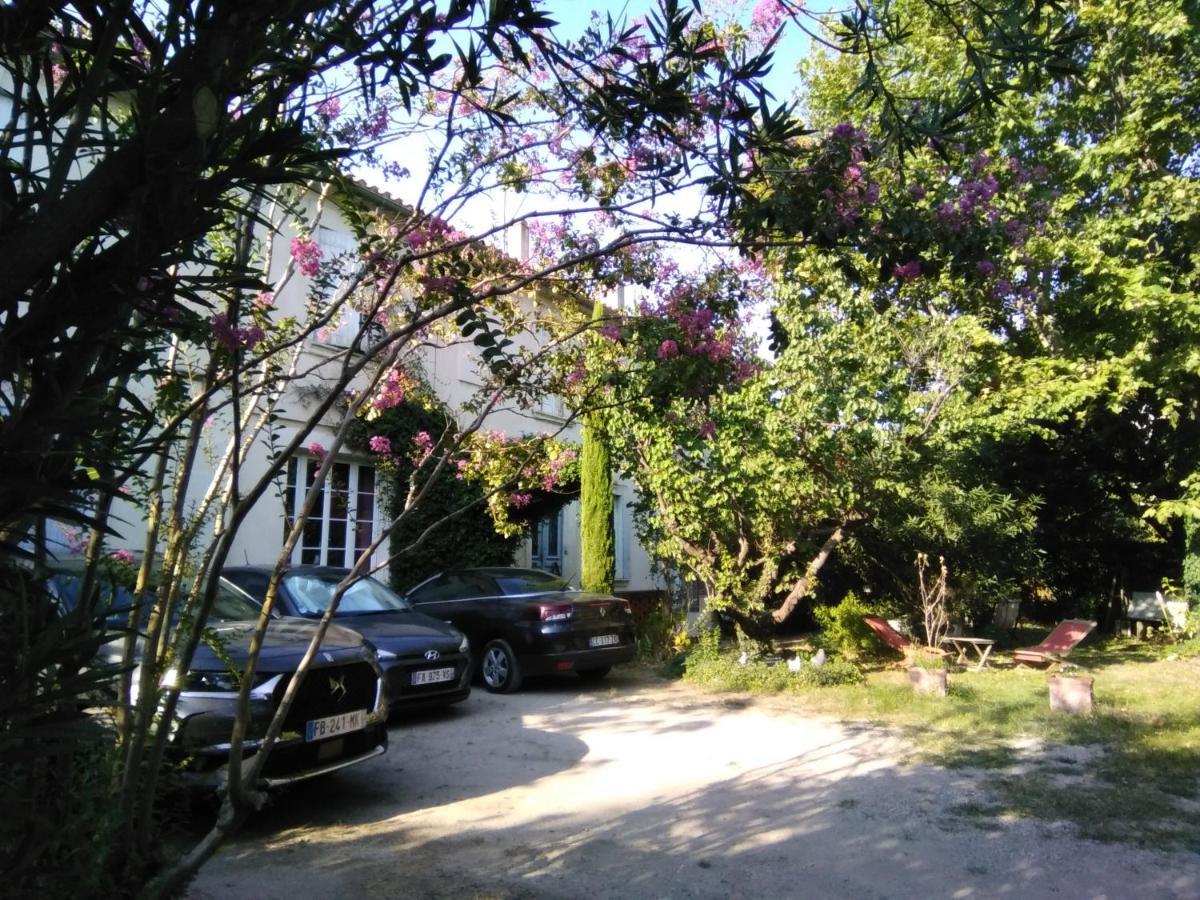 Le Petit Palais Maisonnette Avignon Exterior foto