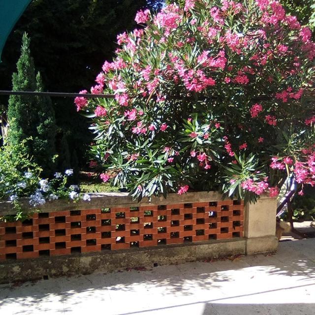 Le Petit Palais Maisonnette Avignon Exterior foto